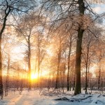 Winter Landschaft: Zauberhafter Sonnenuntergang im Wald